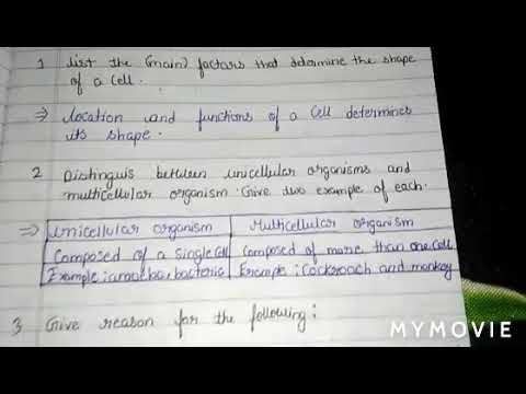 Dav class 8 science chapter - 1 Note's - YouTube