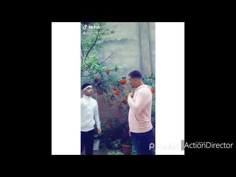 la-première-journée-sur-tik-tok-🇩🇿🇩🇿