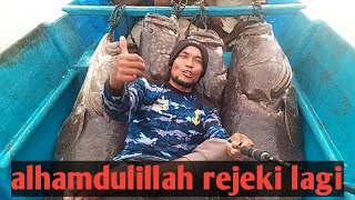 strake kerapu monster di air 4 meter perlawanannya sangat liar