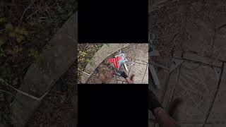 street scrapping descoving uniuqe finds