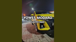 Download Lagu Yowes Modaro Download Lagu Yowes Modaro