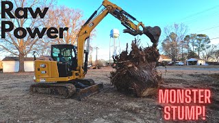 I Thought the 306 Had Met It's Match!  Cat 306 vs Monster Stump!