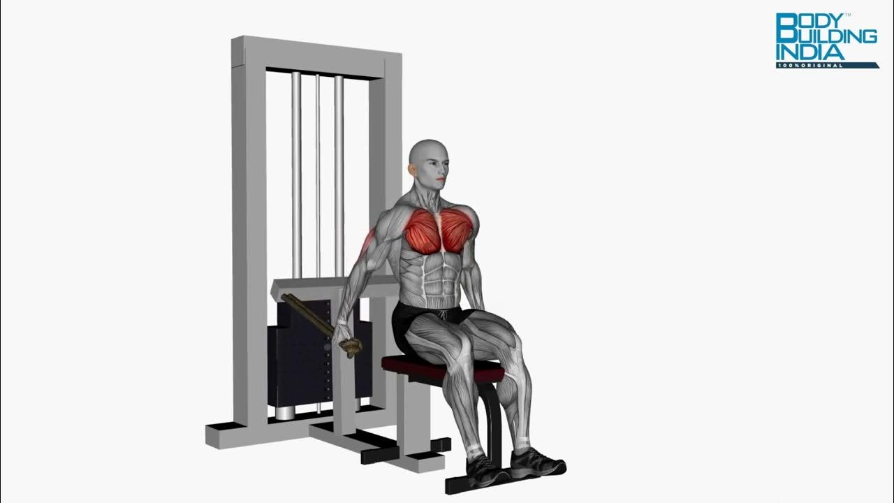 Chest Workout Exercise 10 Chest Dip Machine Bodybuilding India YouTube