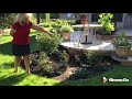 Gananoque Virtual Garden Tour - Joan MacKinnon