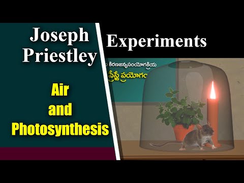 Video: Mis on Joseph Priestley eksperiment?