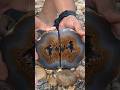 Wow, a beautiful, extremely rare, woody stone worth $999 was found in a river.#Agate #amerika
