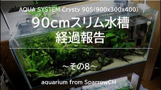 90cmスリム水槽経過報告その8