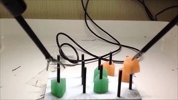 FLS Peg Transfer Task
