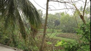 No copyright Free HD Footage MVI 8734