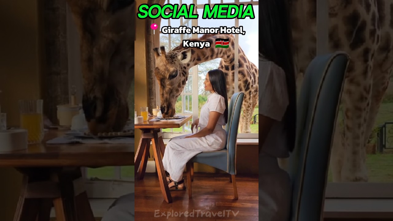 Like if You would EAT with the giraffe...♥️