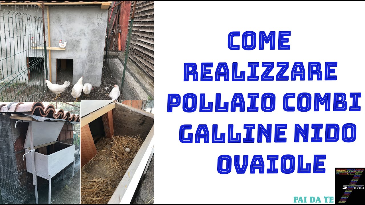 Nido Per Galline Ovaiole Fai Da Te Come Realizzare Pollaio combi Galline nido ovaiole - YouTube