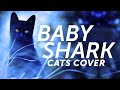 Cats Sing Baby Shark Cover Parody Version