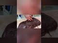 BEEF LIVER : Peeled and Sliced #short