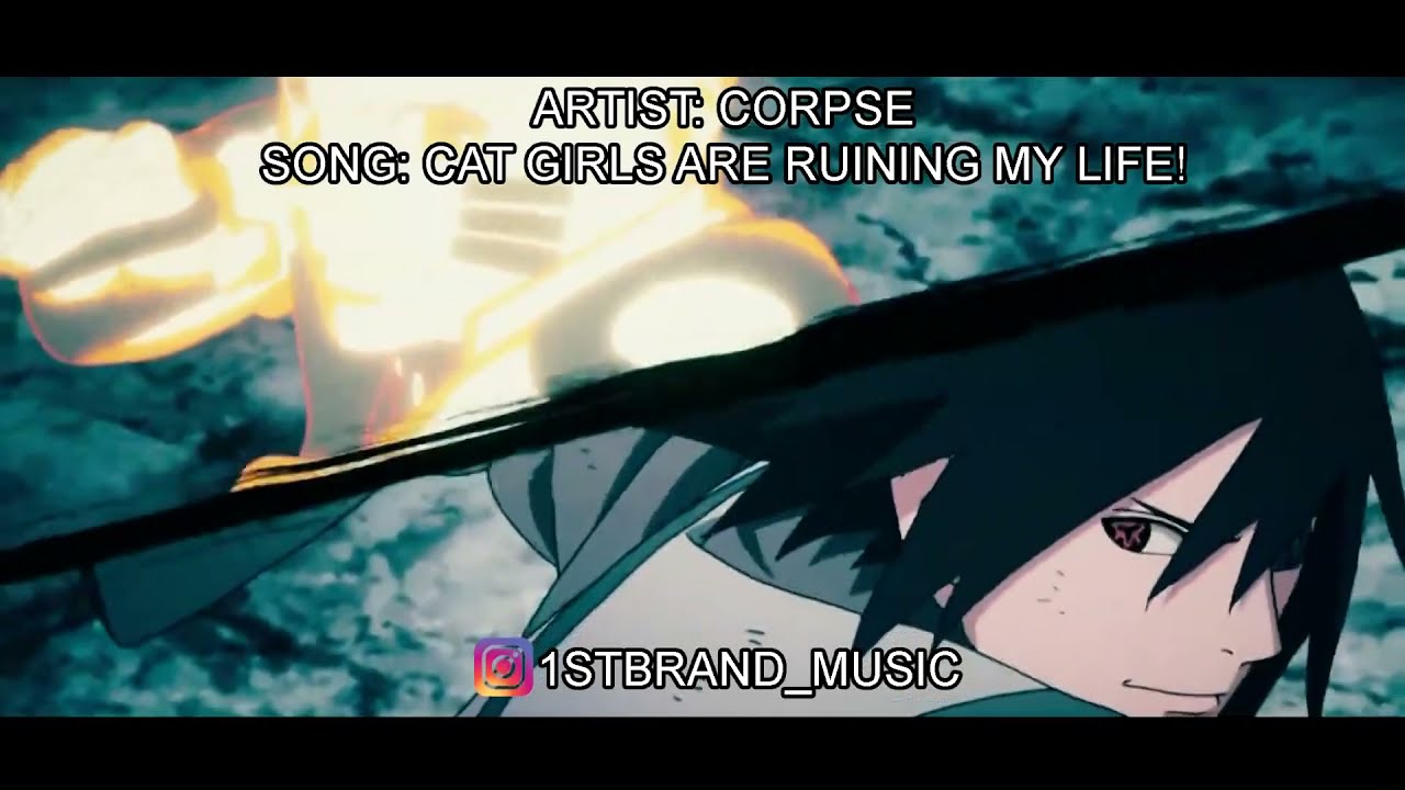 CORPSE CAT GIRLS ARE RUINING MY LIFE! [AMV] YouTube