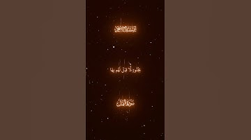 #قرآن #اسلام_صبحي #النمل #اكسبلور #حالات_واتس #تلاوة_خاشعة #راحة_نفسية #quran #fyp #viral #explore