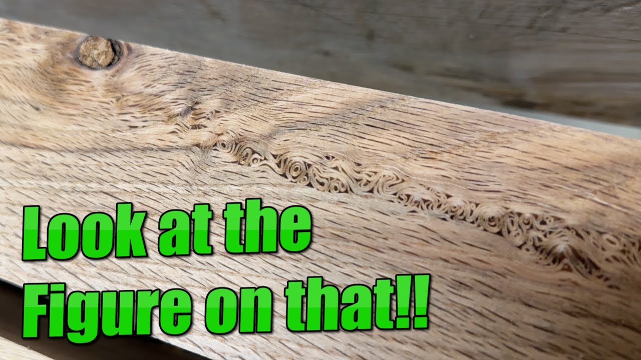 serious-rafterin-and-moving-15000kg-of-wood-mouldy-timber-sorted