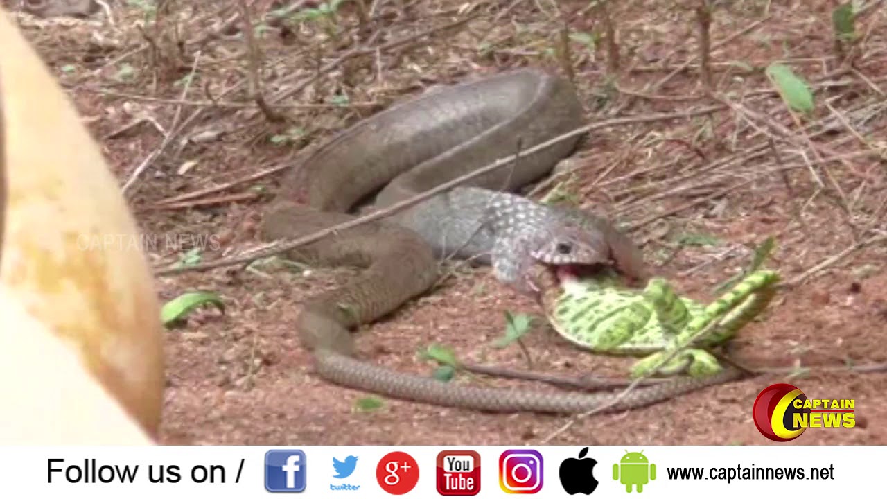 18.09.2019 | காலை 7 மணி விரைவு செய்திகள் | அரசியல் | பொழுதுபோக்கு | தமிழகம் dmk duo