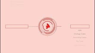 Papaya OneData screenshot 3