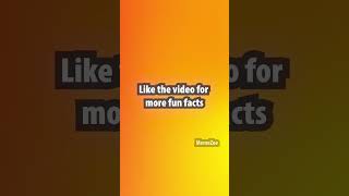 fun fact