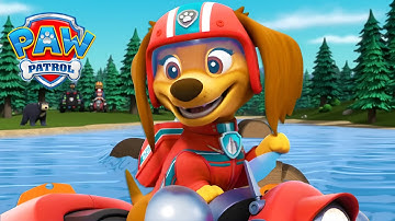 Liberty Makes an Unexpected Friend! 🐻 - PAW Patrol - Cartoons for Kids