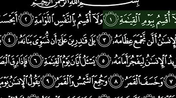 سورة القيامة الشيخ هاني الرفاعي