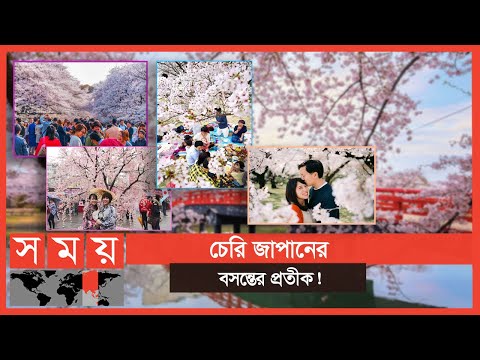 ভিডিও: চেরি ফুল কতক্ষণ ফোটে?