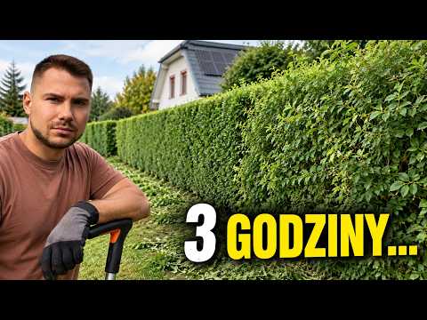 Trimming Grandma’s privet hedge