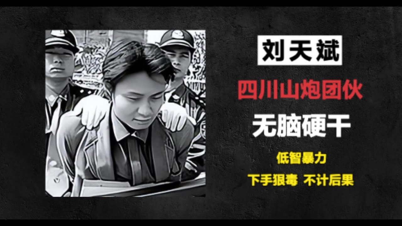 四川南充山炮团伙-刘天斌
