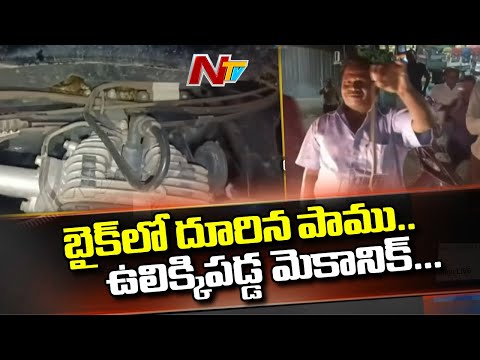 బైక్‌లో దూరిన పాము | Snake Hides in Bike | Ntv