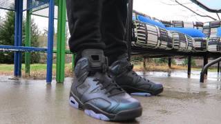 jordan 6 chameleon on feet