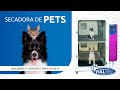 Cuidados com os Pets