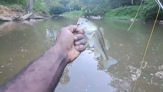 multi species river fly fishing