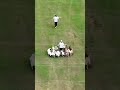 Most dogs walked simultaneously - 38 by Mitchell Rudy 🐕