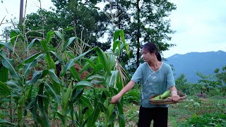 The BEST Way to Cook Tender Corn