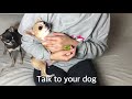 Chelsea Chihuahua Tutorial - Tricky nail Cutting