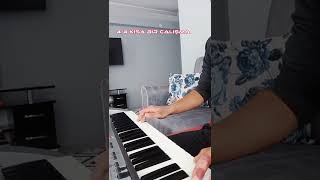 Pa80 Org 44 Kisa Bi̇r Çalişma