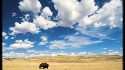 GREAT PLAINS  Americas Lingering Wild, by Michael ...
