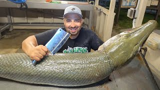 CLEANING AND FILLETING ALLIGATOR GAR FROM START TO FINISH screenshot 2