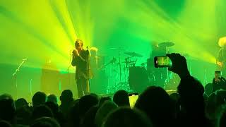 Jesus and Mary Chain- Chemical Animal- LIVE