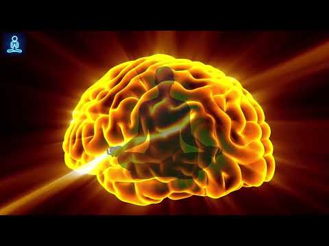 Activate Your Second Mind : The Gut-Brain Connection / Rife Frequency - Binaural Beats