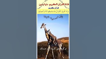 تلاوة خاشعة رائعة من سورة الاسراء للشيخ ماهر المعيقلي #ماهر_المعيقلي