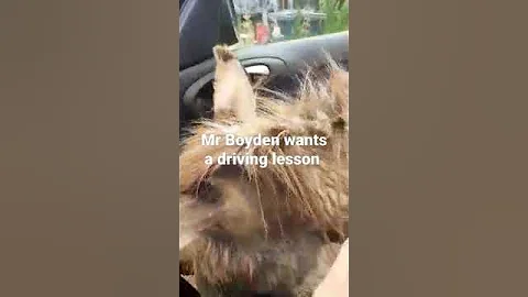 My husband living with a donkey as a best friend