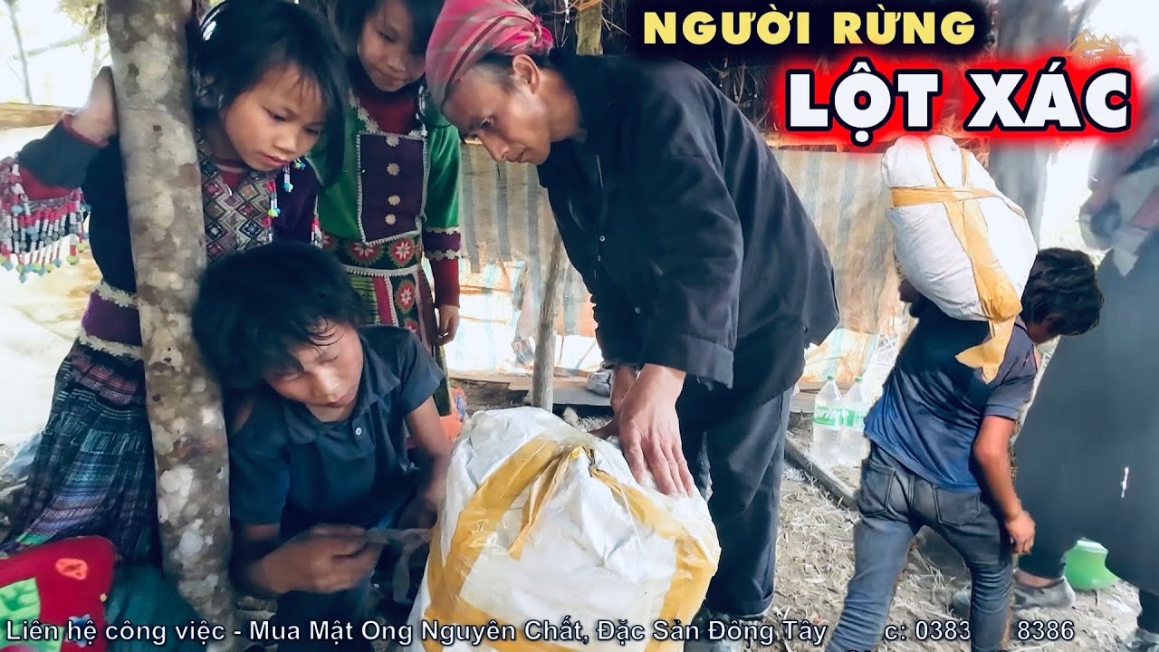 Người Rừng Lột Xác Cùng Tiếng Cười Khanh Khách Phát Ra Từ Căn Nhà Rách ...