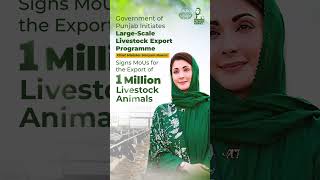 Large Scale Livestock Export Program | CM Maryam Nawaz