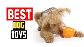 ✅Top 5 Best Treat Dispensing Dog Toys For Playful Pups by The Pets Products 26 views 13 days ago 4 minutes, 23 seconds