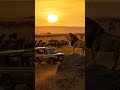 Tourism  ep 1 don't plan to miss