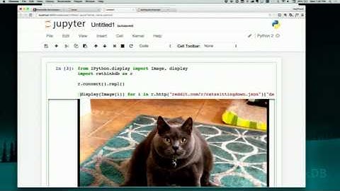 Ryan Paul - Learn how to use RethinkDB with Jupyter