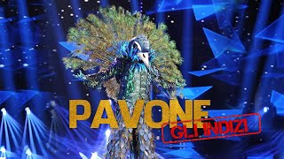 IL CANTANTE MASCHERATO: Pavone, nuovi indizi