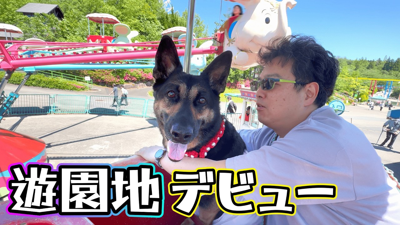 We Drove 8 Hours from Osaka to an Amusement Park, and It Was a
