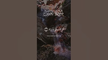 سورة عبس (١٧-٢٢) - طلحة علوي | #القرآن_الكريم #سورة_عبس #طلحة_علوي
